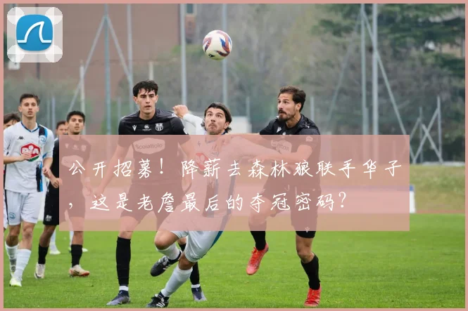 公开招募！降薪去森林狼联手华子，这是老詹最后的夺冠密码？