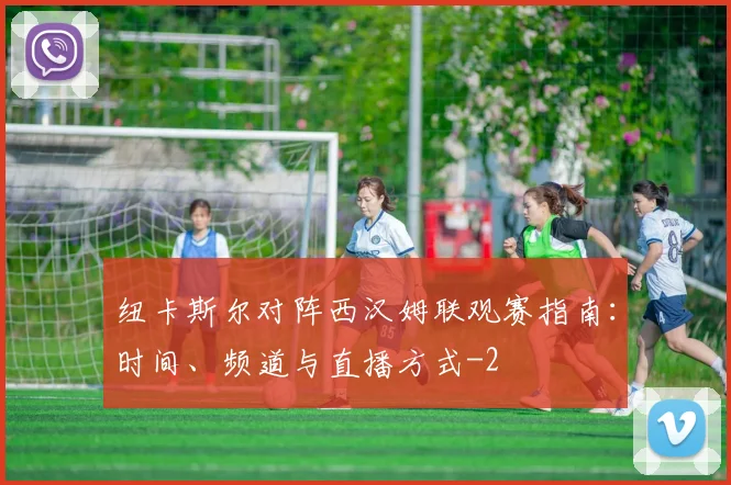 纽卡斯尔对阵西汉姆联观赛指南：时间、频道与直播方式
