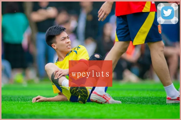 wpeyluts