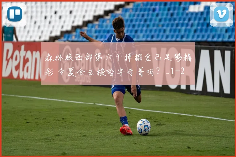 森林狼西部第六干掉掘金已足够精彩 今夏会去梭哈字母哥吗？_1