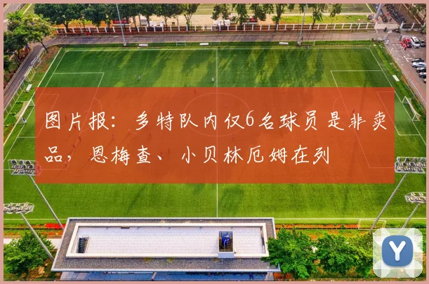 图片报：多特队内仅6名球员是非卖品，恩梅查、小贝林厄姆在列