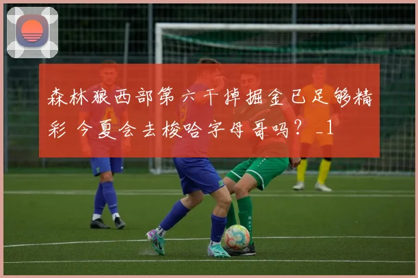 森林狼西部第六干掉掘金已足够精彩 今夏会去梭哈字母哥吗？_1