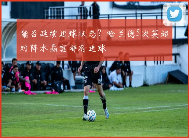 能否延续进球状态？哈兰德5次英超对阵水晶宫都有进球